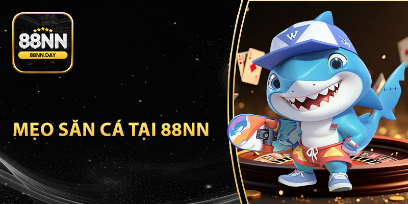 Mẹo săn cá để thu về phần thưởng lớn từ các chuyên gia